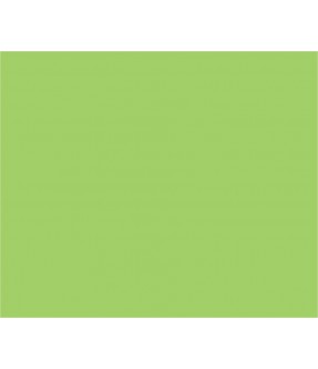 Vopsea verde deschis 50 ml