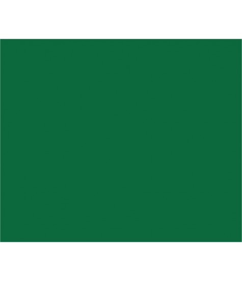 Vopsea verde inchis 50 ml